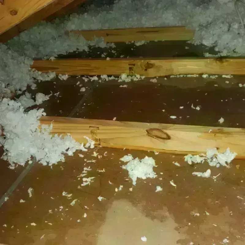 Attic Water Damage in Whitesboro, AL